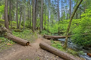 10433 Park Ave Ext, Nevada City, CA 95959 - Photo 87