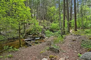 10433 Park Ave Ext, Nevada City, CA 95959 - Photo 83