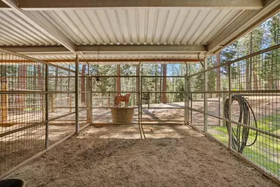 10415 McMahon Road, Coulterville, CA 95311 - Photo 41