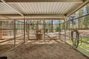 10415 McMahon Rd, Coulterville, CA 95311 - Photo 41