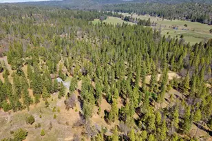 10415 McMahon Rd, Coulterville, CA 95311 - Photo 83