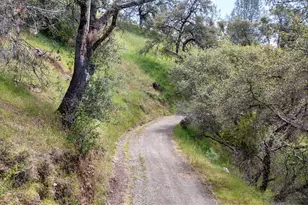 3466 Howard Rd, San Andreas, CA 95249 - Photo 43