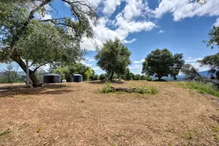 3466 Howard Rd, San Andreas, CA 95249 - Photo 53