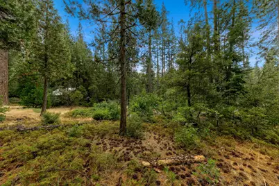 0 Sugar Loaf, Kyburz, CA 95720 - Photo 9