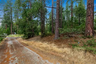 0 Sugar Loaf, Kyburz, CA 95720 - Photo 7