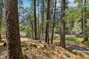 3045 Alder Creek Rd, Pollock Pines, CA 95726 - Photo 11