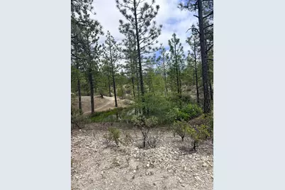 13676 Sailor Flat, Nevada City, CA 95959 - Photo 37