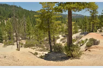 13676 Sailor Flat, Nevada City, CA 95959 - Photo 13