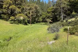 22460 Canyon Way, Colfax, CA 95713 - Photo 63
