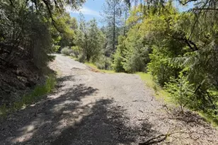 22460 Canyon Way, Colfax, CA 95713 - Photo 69