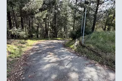 22460 Canyon Way, Colfax, CA 95713 - Photo 47