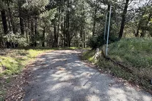 22460 Canyon Way, Colfax, CA 95713 - Photo 47