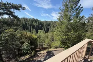 22460 Canyon Way, Colfax, CA 95713 - Photo 39