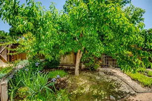 229 Cross St, Woodland, CA 95695 - Photo 31