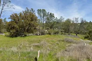 0 Long Hollow Dr, Coarsegold, CA 93614 - Photo 1