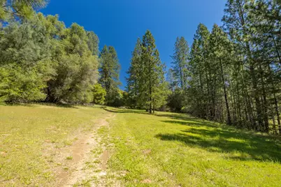 7381 Nutmeg Lane, Placerville, CA 95667 - Photo 5