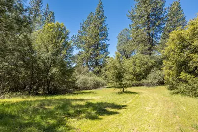 7381 Nutmeg Lane, Placerville, CA 95667 - Photo 1
