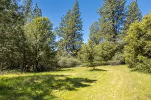 7381 Nutmeg Ln, Placerville, CA 95667 - Photo 1