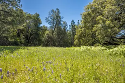7381 Nutmeg Lane, Placerville, CA 95667 - Photo 3