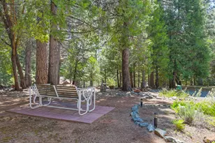 20000 Circle View Dr, Pioneer, CA 95666 - Photo 31