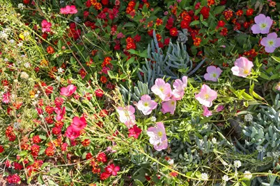 Tam O Shanter Drive #98, Stockton, CA 95210 - Photo 7