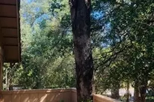 7440 Black Tree Ln, Citrus Heights, CA 95610 - Photo 59