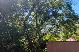 7440 Black Tree Ln, Citrus Heights, CA 95610 - Photo 61