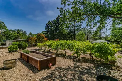 12 Brandy Court, Burson, CA 95225 - Photo 71