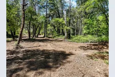 20493 Rector Road, Nevada City, CA 95959 - Photo 13
