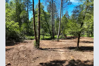 20493 Rector Road, Nevada City, CA 95959 - Photo 21