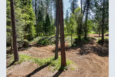 20493 Rector Road, Nevada City, CA 95959 - Photo 5