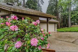 16686 Meadow Vista Dr, Pioneer, CA 95666 - Photo 13