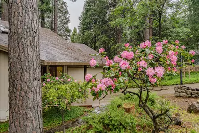 16686 Meadow Vista Drive, Pioneer, CA 95666 - Photo 11