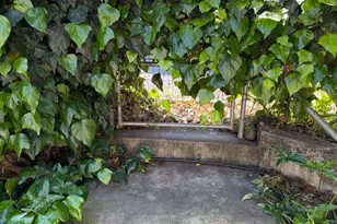 96 Court St, San Andreas, CA 95249 - Photo 3