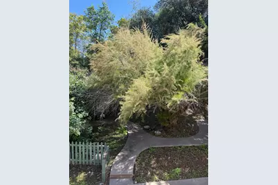 96 Court Street, San Andreas, CA 95249 - Photo 25