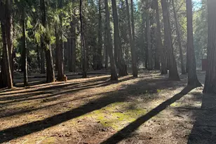 23858 Fiddletown Rd, Volcano, CA 95689 - Photo 5