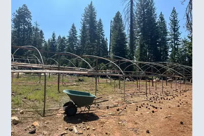 30205 N Bloomfield-Graniteville Road, Nevada City, CA 95959 - Photo 15