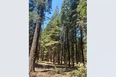 30205 N Bloomfield-Graniteville Road, Nevada City, CA 95959 - Photo 5