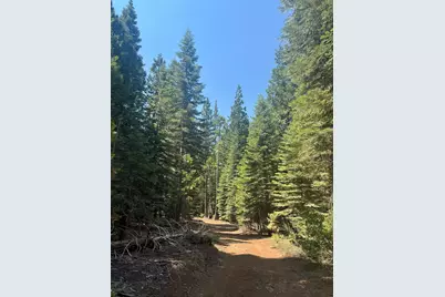 30205 N Bloomfield-Graniteville Road, Nevada City, CA 95959 - Photo 11