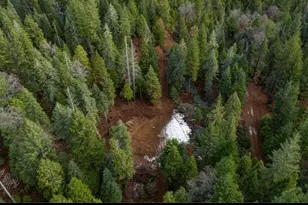 30205 N Bloomfield-Graniteville Rd, Nevada City, CA 95959 - Photo 1