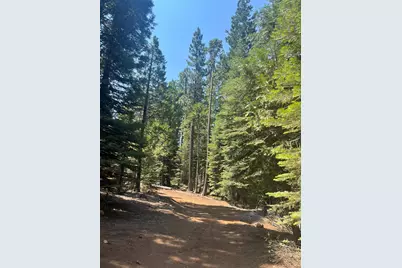 30205 N Bloomfield-Graniteville Road, Nevada City, CA 95959 - Photo 9