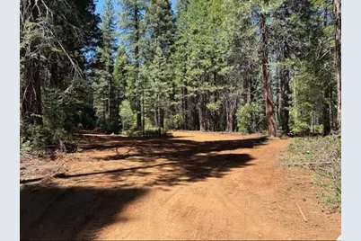 30205 N Bloomfield-Graniteville Road, Nevada City, CA 95959 - Photo 3