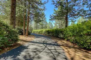 16934 Indian Flat Rd, Nevada City, CA 95959 - Photo 61