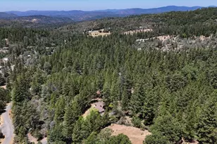 16934 Indian Flat Rd, Nevada City, CA 95959 - Photo 53