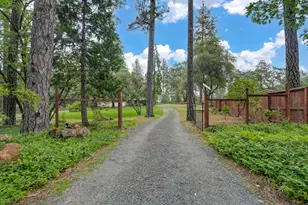 1550 Sugar Pine Rd, Meadow Vista, CA 95722 - Photo 5