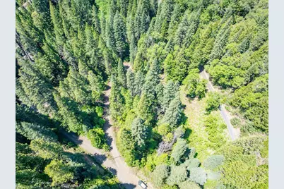 580 Blue Canyon Road, Alta, CA 95701 - Photo 45