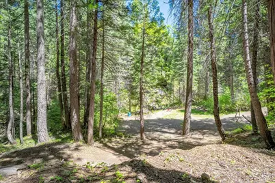580 Blue Canyon Road, Alta, CA 95701 - Photo 7