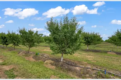 0 14706 Peach Avenue, Livingston, CA 95334 - Photo 29