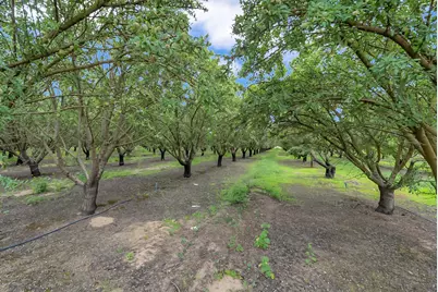 0 14706 Peach Avenue, Livingston, CA 95334 - Photo 17
