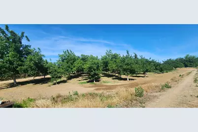 0 George Road, Williams, CA 95987 - Photo 7